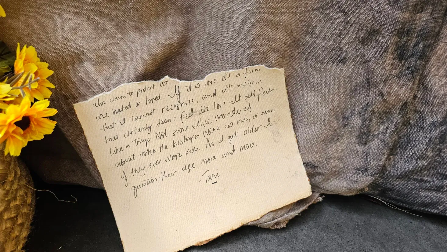 [...] also claim to protect us [...] are hated or loved. If it is love, it's a form that I cannot recognize, and it's a form that certainly doesn't feel like love. It all feels like a trap. Not sure I've wondered about who the bishops were as kids, or even if they ever were kids. As I get older, I question their age more and more.

-Tari
!![%-%]!!